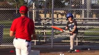 Beginner Bunting Fundamentals