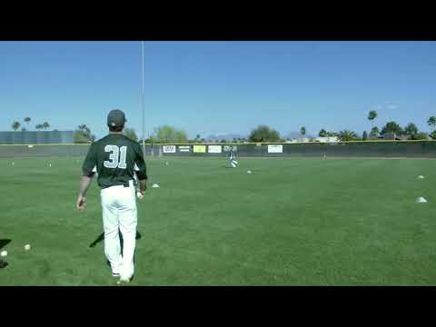 Bat Behind Hips