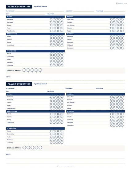 Preview of High School Baseball Evaluation printable PDF template