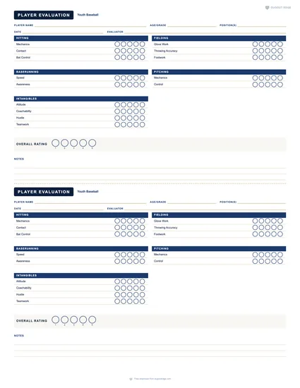 Preview of Youth Baseball Player Evaluation printable PDF template