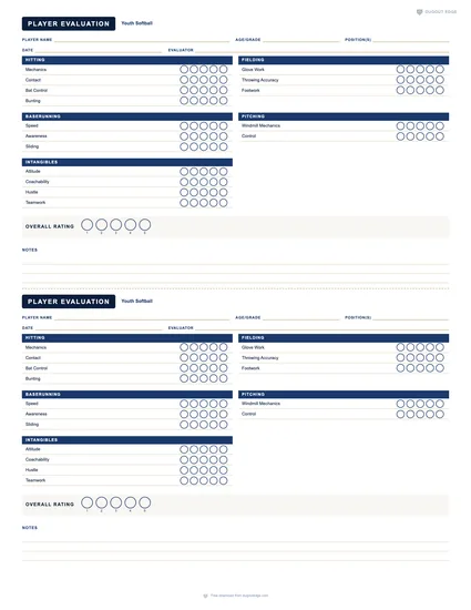 Preview of Youth Softball Player Evaluation printable PDF template