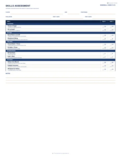Preview of Baseball Skills Assessment (Ages 15-16) printable PDF template