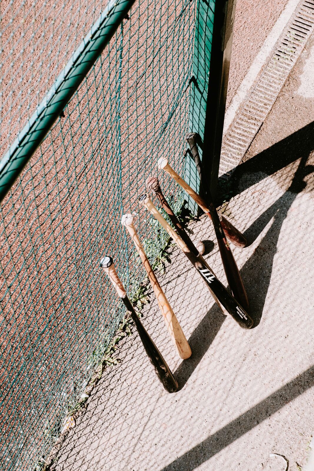 Row of BBCOR baseball bats standing against a dugout fence